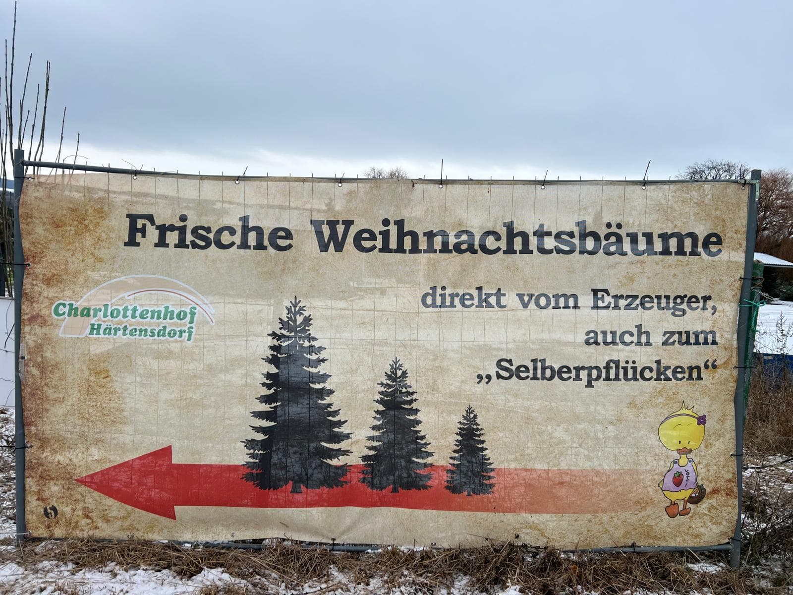 Weihnachtsbaumverkauf