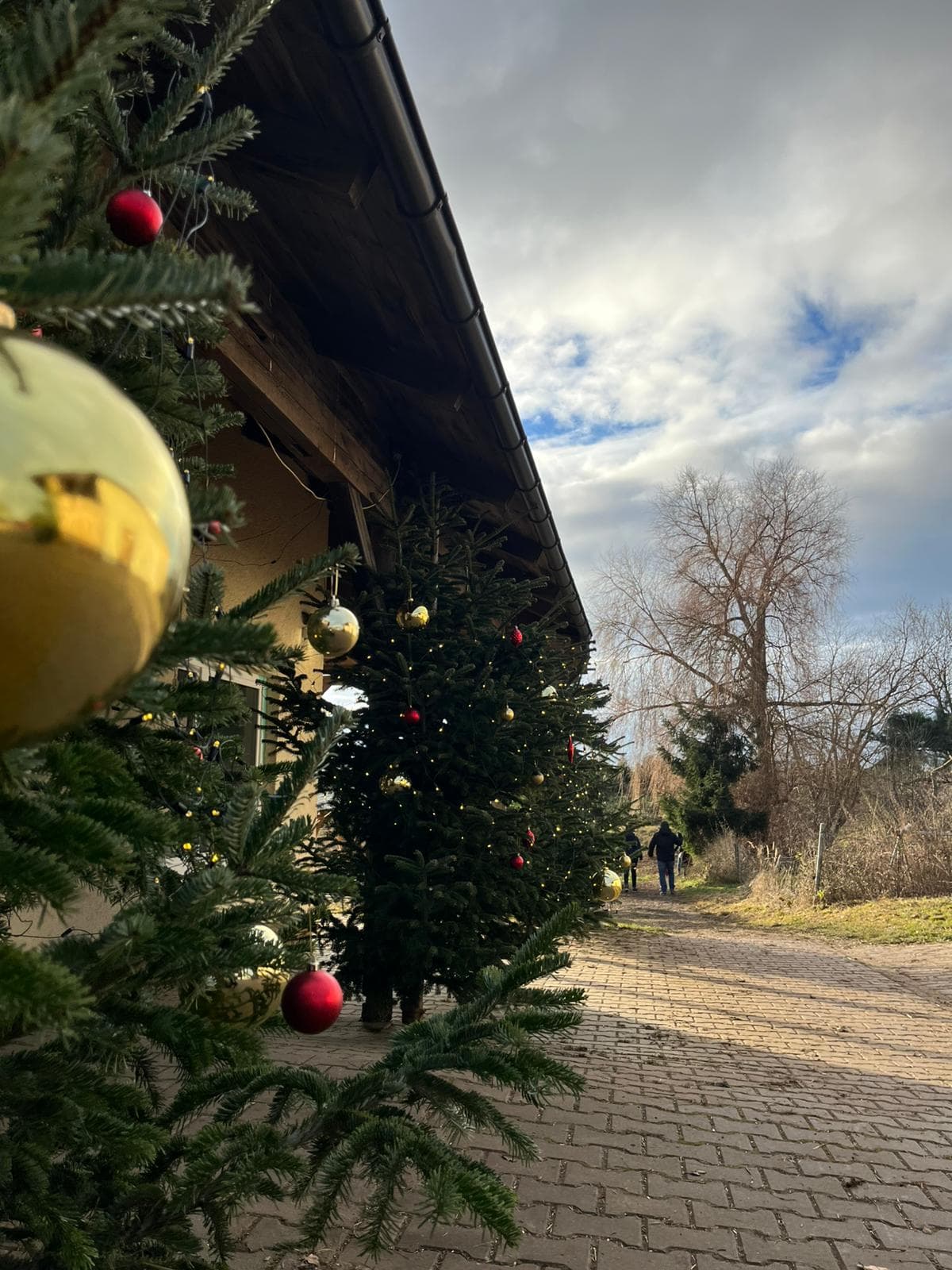 Weihnachtsbaumverkauf